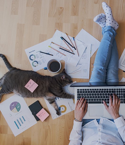 My Home Is My Office My Home Is My Office